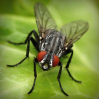 /album/ted7class/photolia-a01-jpg/