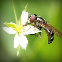 /album/ted7class/photolia-a02-jpg/