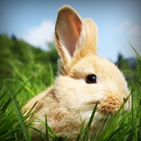 /album/ted7class/photolia-a03-jpg/