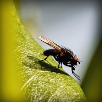 /album/ted7class/photolia-a04-jpg/