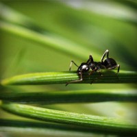 /album/ted7class/photolia-a05-jpg/