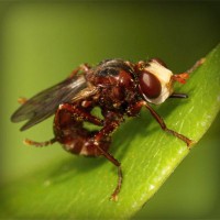 /album/ted7class/photolia-a06-jpg/