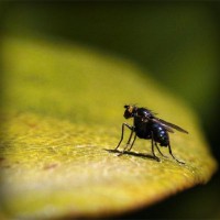 /album/ted7class/photolia-a07-jpg/