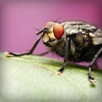 /album/ted7class/photolia-a08-jpg/